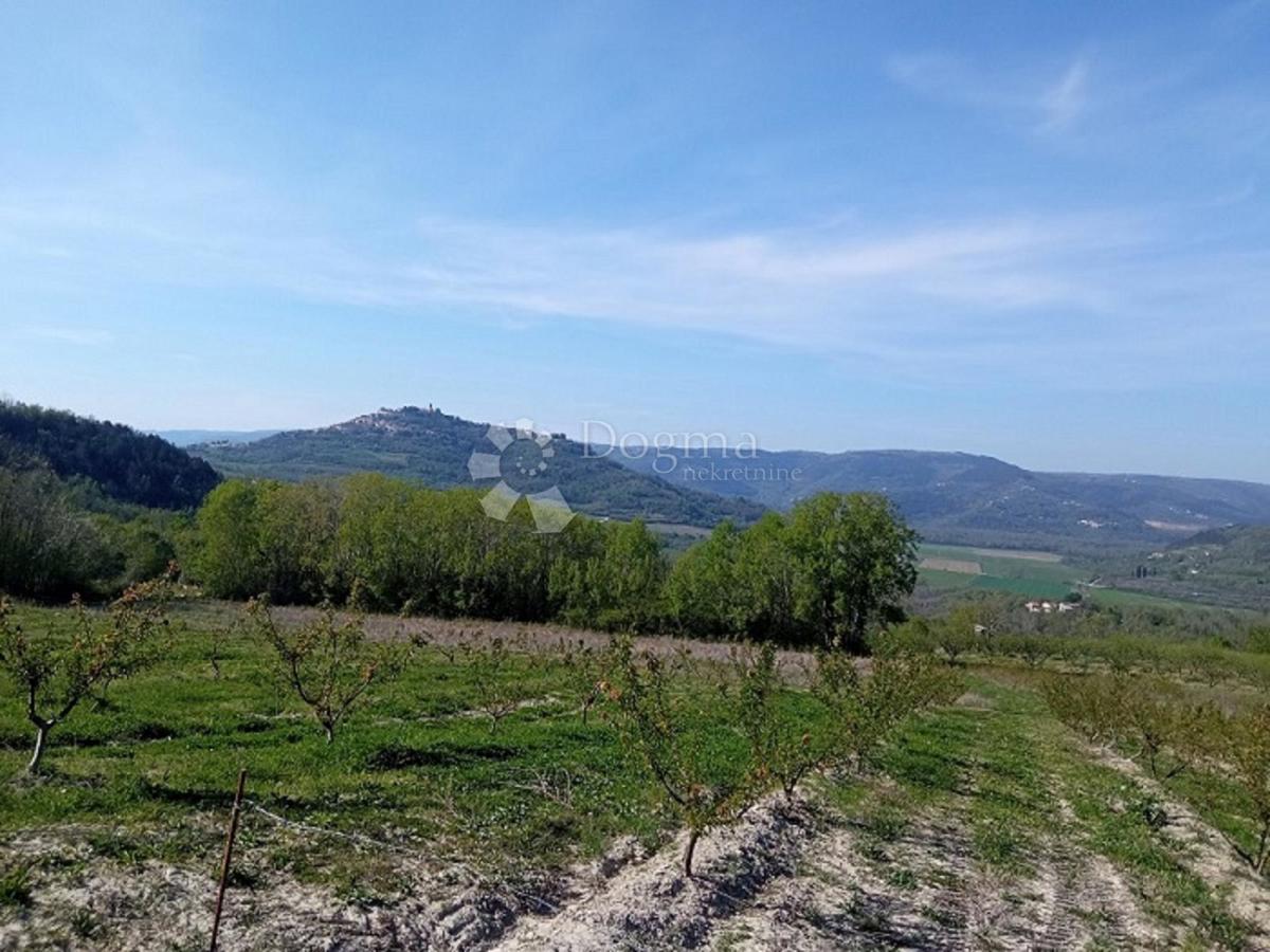 Zemljišče Kaldir, Motovun, 3.597m2