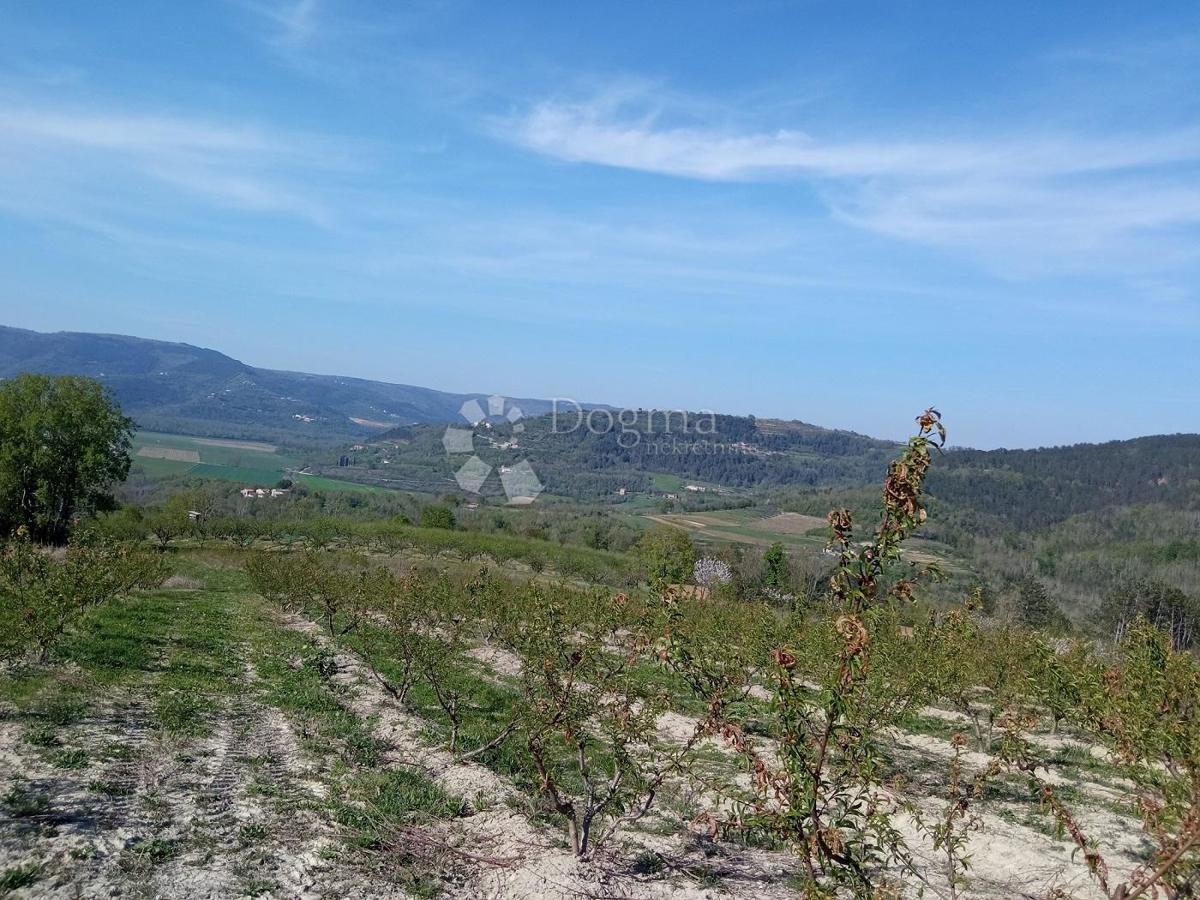 Zemljišče Kaldir, Motovun, 3.597m2