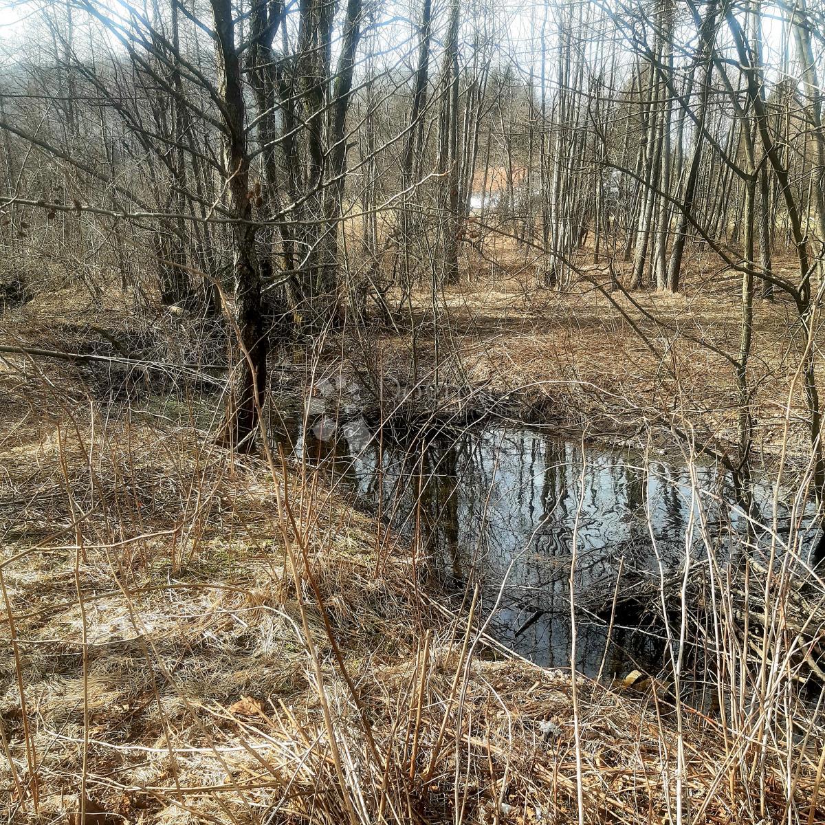 Zemljišče Jasenak, Ogulin, 1.744m2