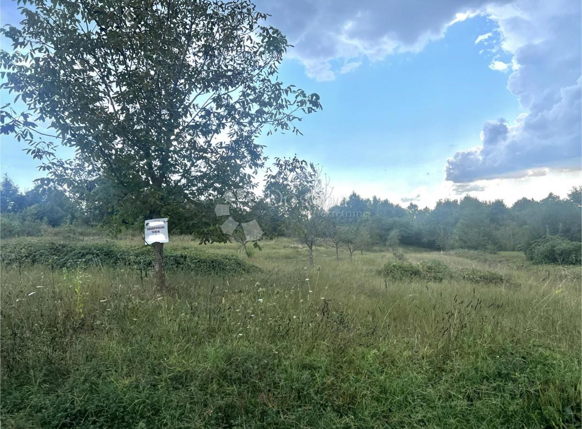 LEPO ZAZIDLJIVO KMETIJSKO ZEMLJIŠČE V OKOLICI LABINA