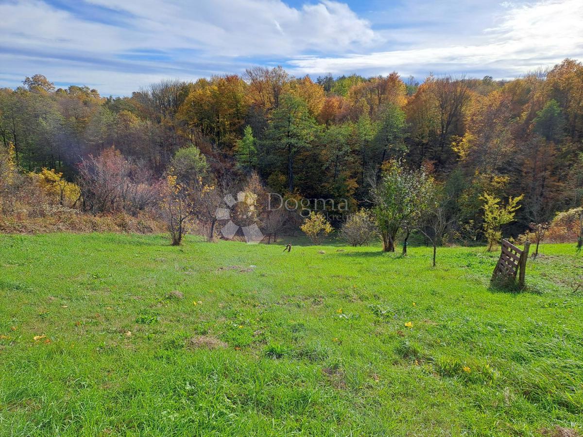 Hiša Jošavica, Petrinja, 597m2