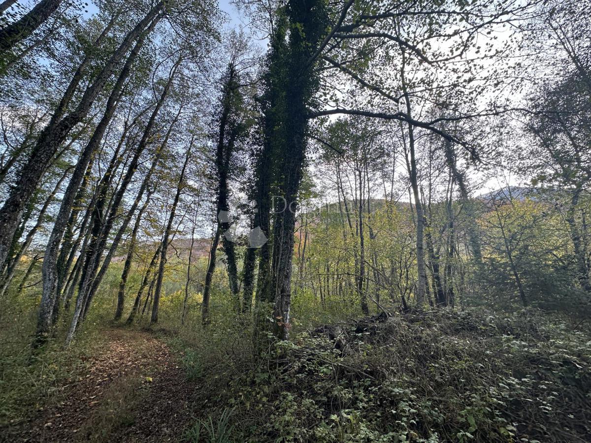 Zemljišče Brušane, Gospić - Okolica, 7.300m2