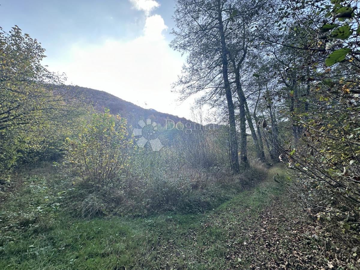 Zemljišče Brušane, Gospić - Okolica, 7.300m2