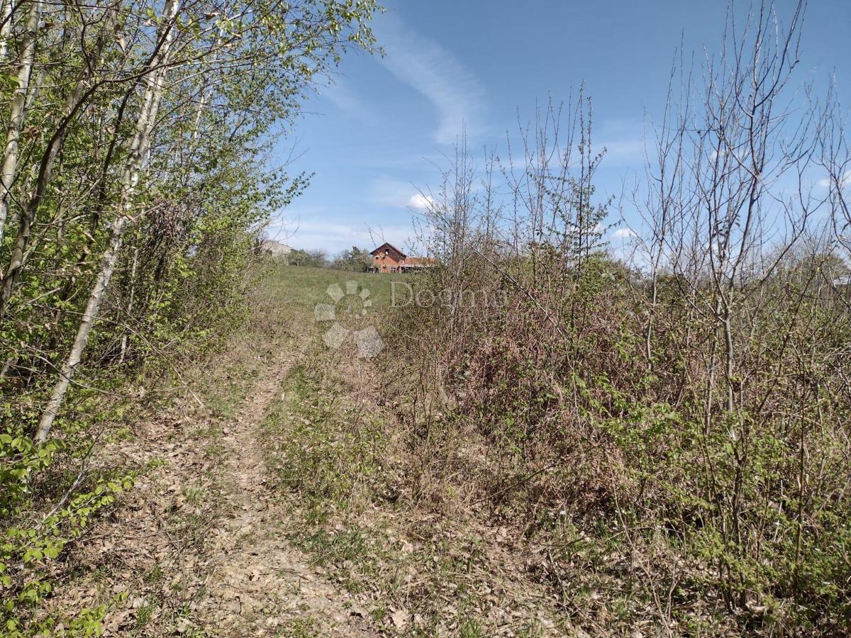 Hiša Bović, Gvozd, 168m2