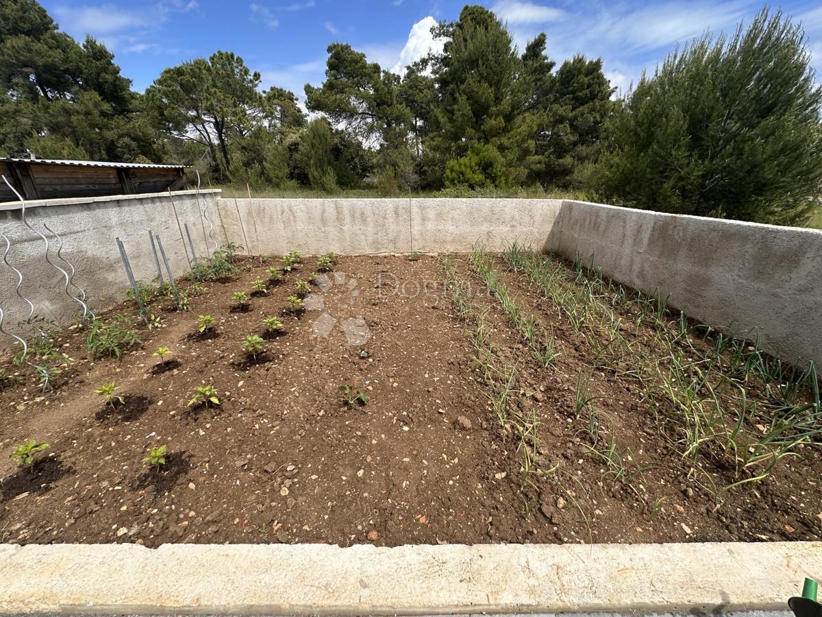 Apartma Vir, 97m2