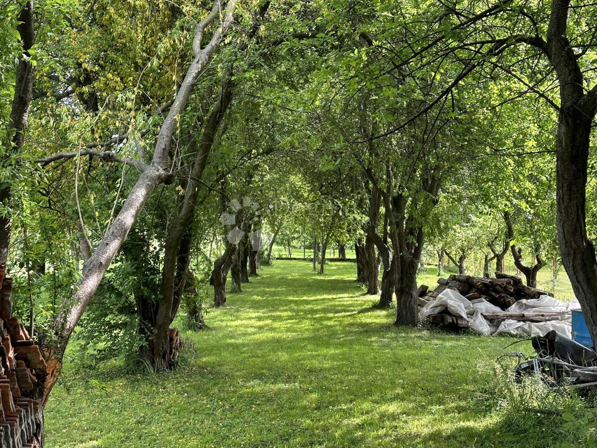 Zazidljivo zemljišče Trnovec, Trnovec Bartolovečki, 1.281m2