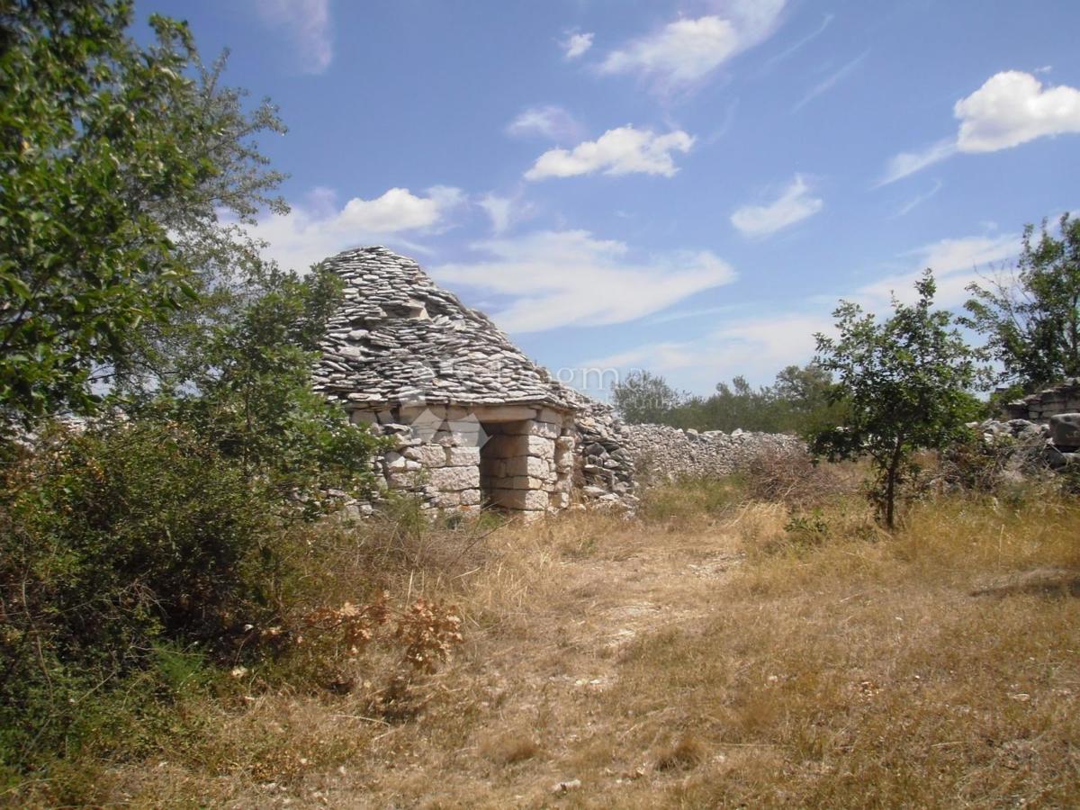 Kmetijsko zemljišče z oljčnim nasadom v bližini Vodnjana, Istra