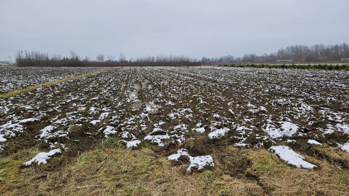 Kmetijsko zemljišče Rugvica, 2.200m2