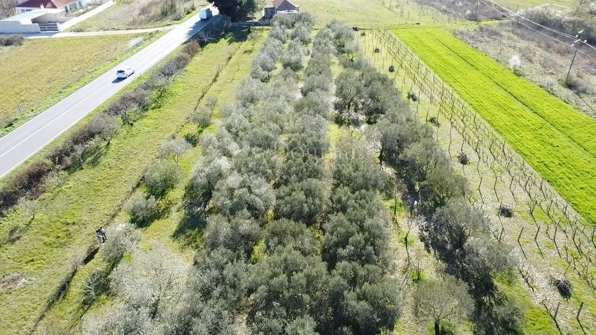 Murvica pri Zadru, 550 m² – Redko dostopno zazidljivo zemljišče na top lokaciji!
