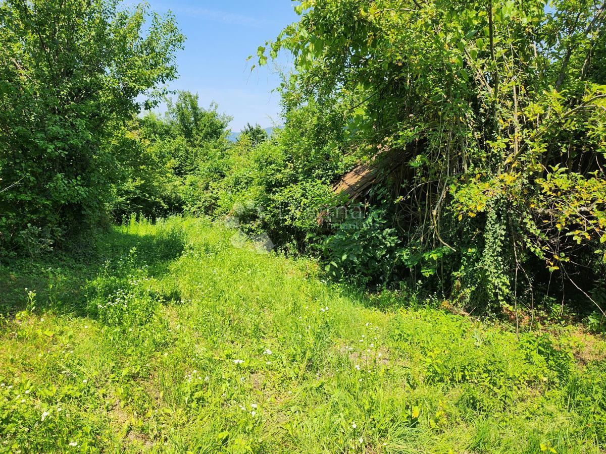 Kmetijsko zemljišče Ježovec, Bednja, 36.192m2