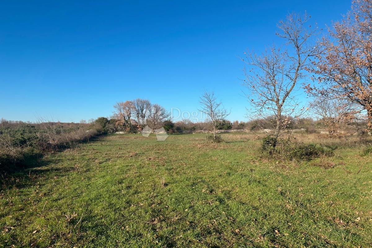 Zazidljivo zemljišče Vodnjan, 481m2