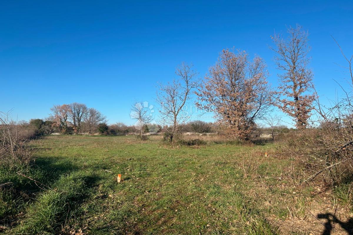 Zazidljivo zemljišče Vodnjan, 481m2