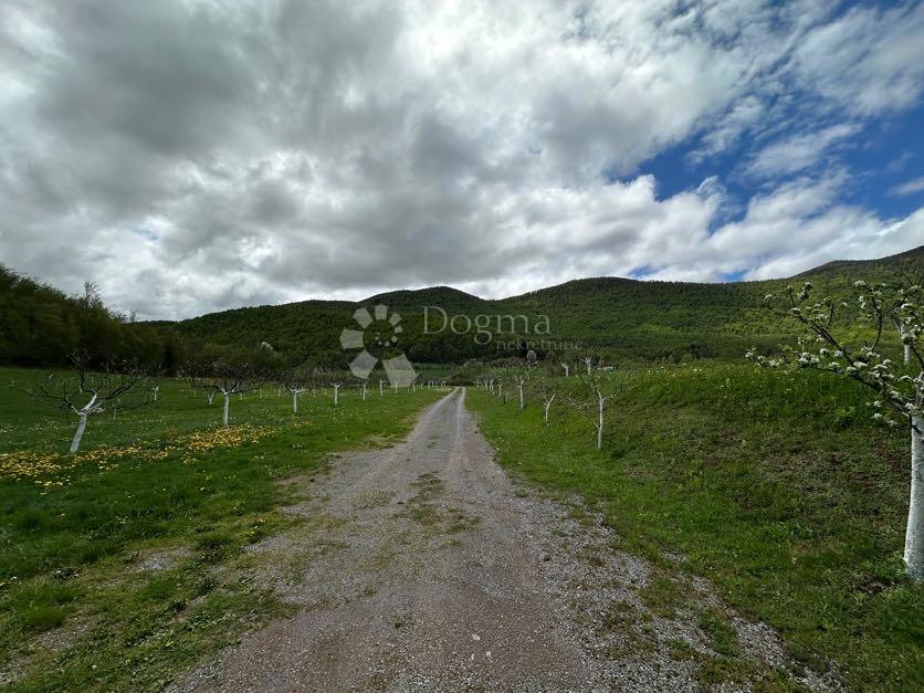 Hiša Bužim, Gospić - Okolica, 11.000m2