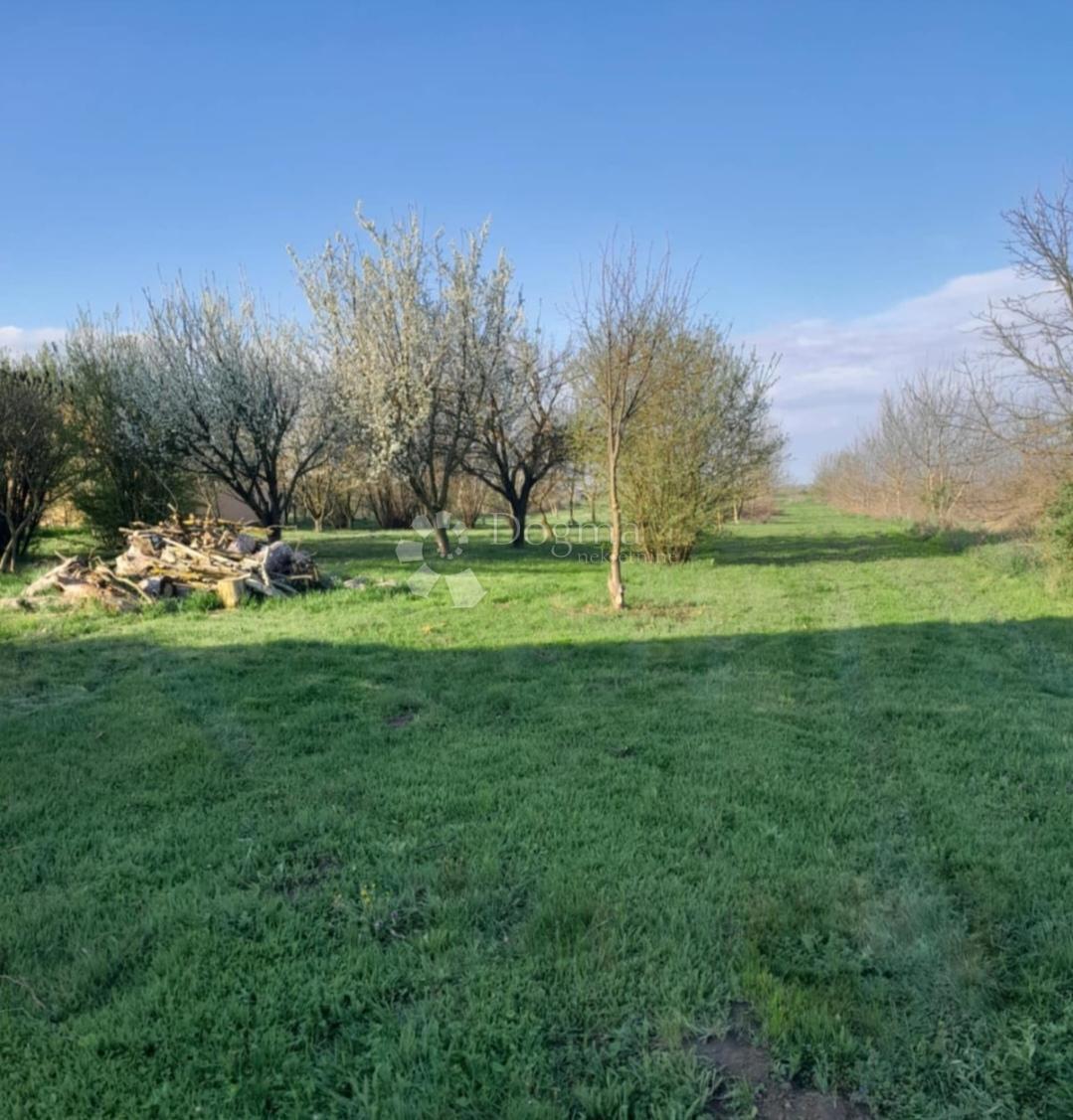 Hiša Tenja, Osijek - Okolica, 238m2