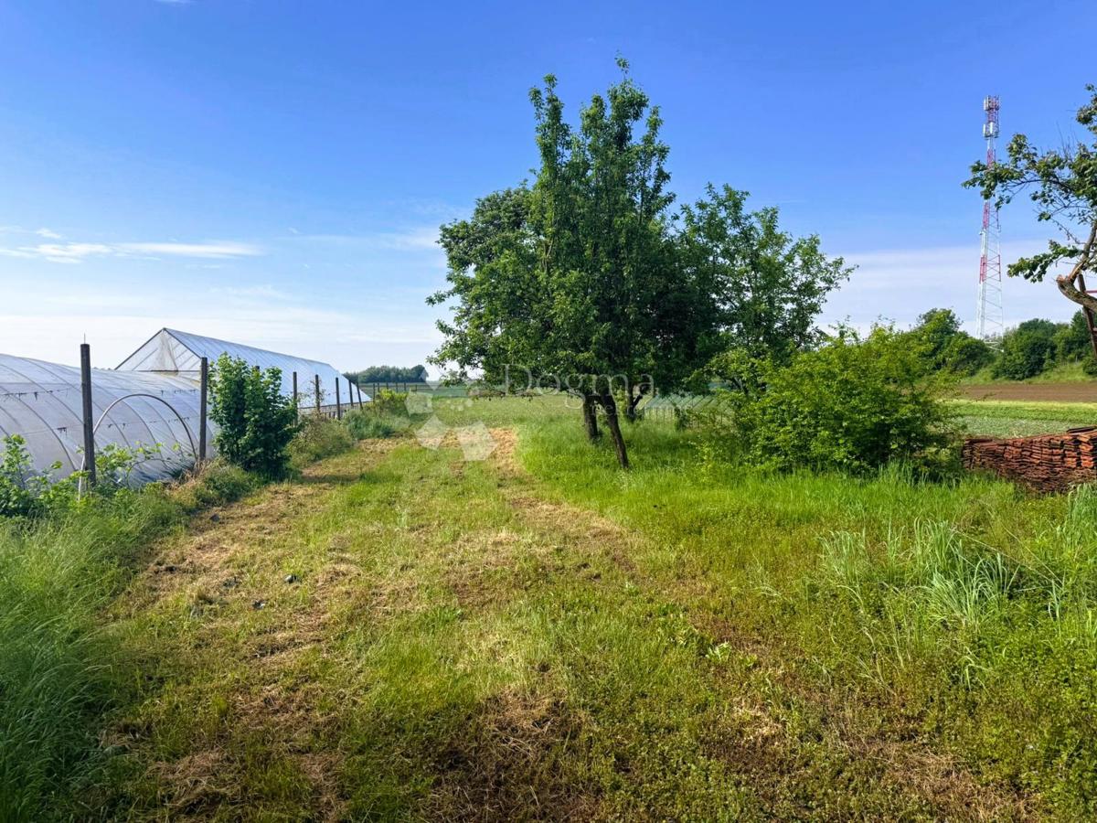 Hiša Peklenica, Mursko Središće, 88m2