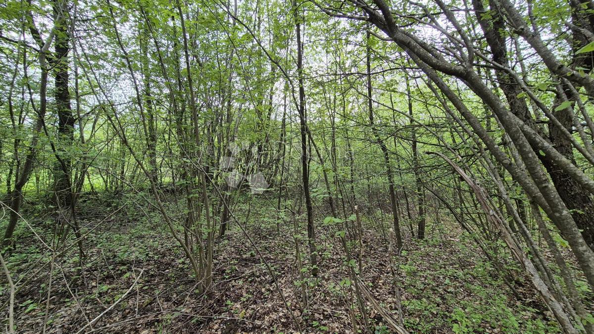 Kmetijsko zemljišče Brušane, Gospić - Okolica, 6.000m2