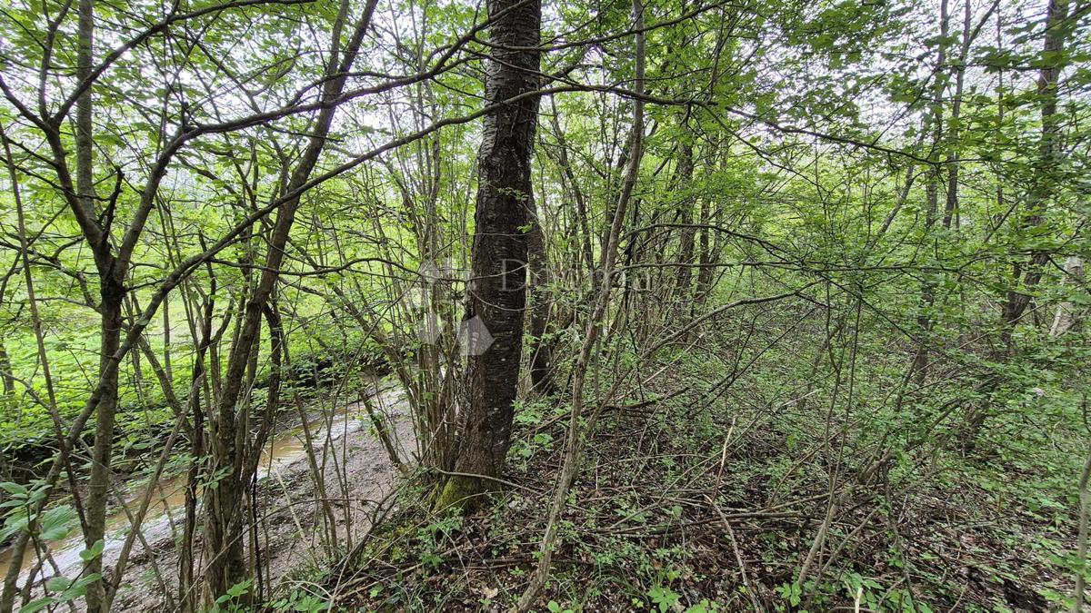 Kmetijsko zemljišče Brušane, Gospić - Okolica, 6.000m2