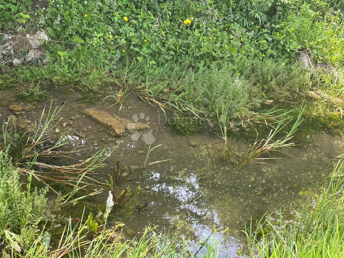 Kmetijsko zemljišče Brušane, Gospić - Okolica, 6.000m2
