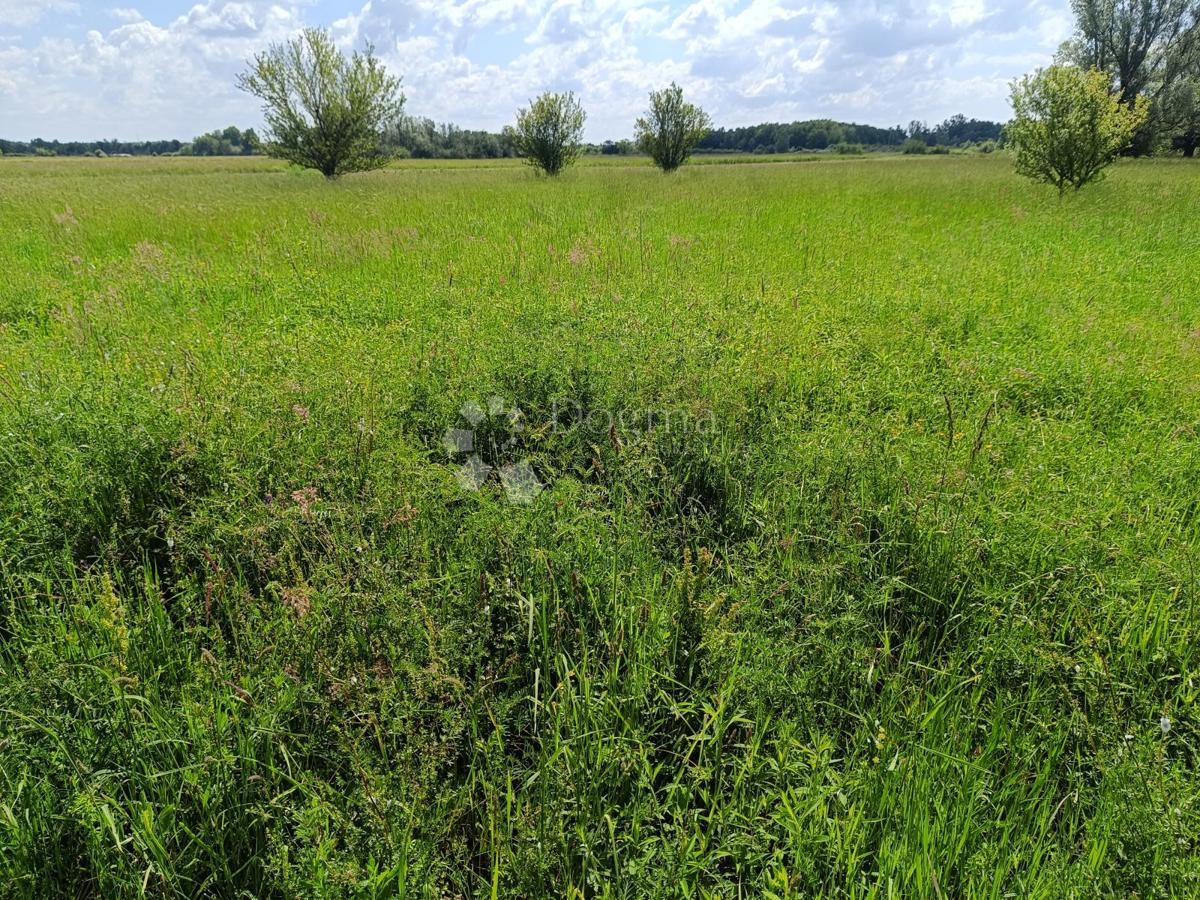 Zazidljivo zemljišče Andrilovec, Dugo Selo - Okolica, 10.830m2