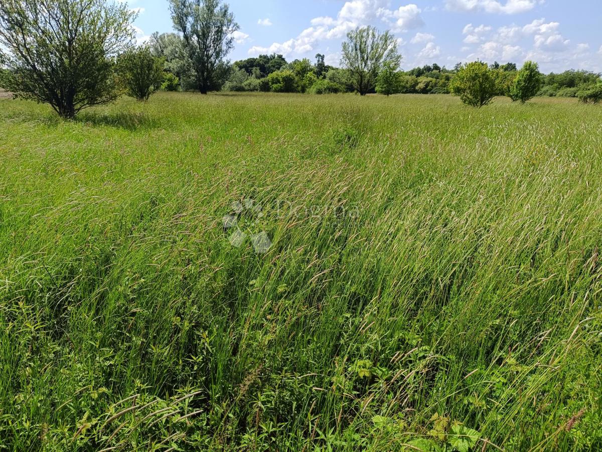 Zazidljivo zemljišče Andrilovec, Dugo Selo - Okolica, 10.830m2