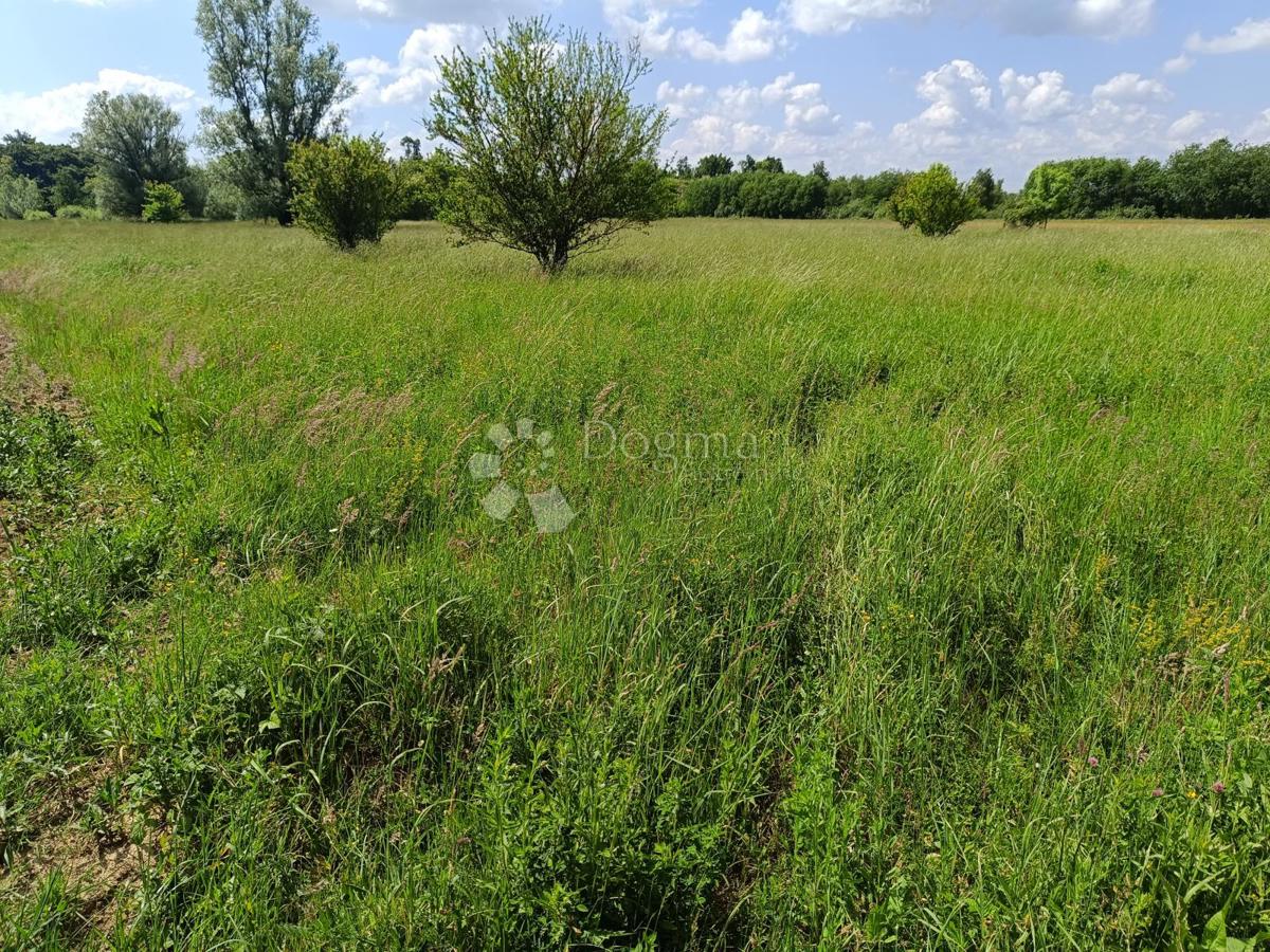 Zazidljivo zemljišče Andrilovec, Dugo Selo - Okolica, 10.830m2