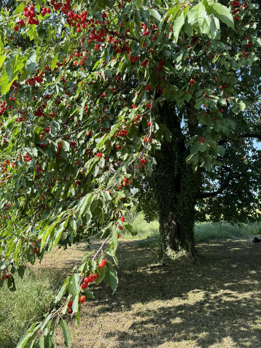 Hiša Mičetinac, Đurđevac, 56m2