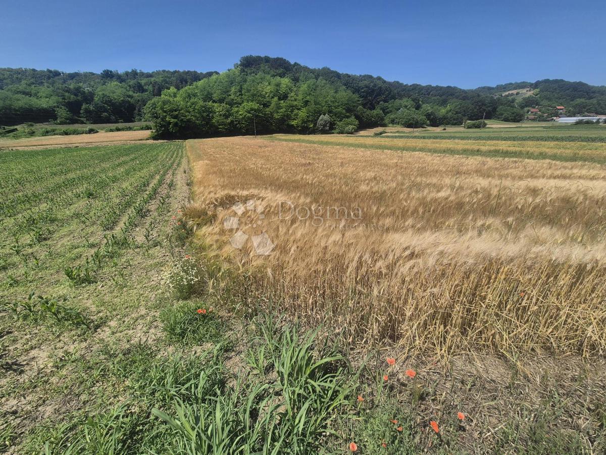 Zazidljivo zemljišče Donja Pačetina, Sveti Križ Začretje, 2.514m2