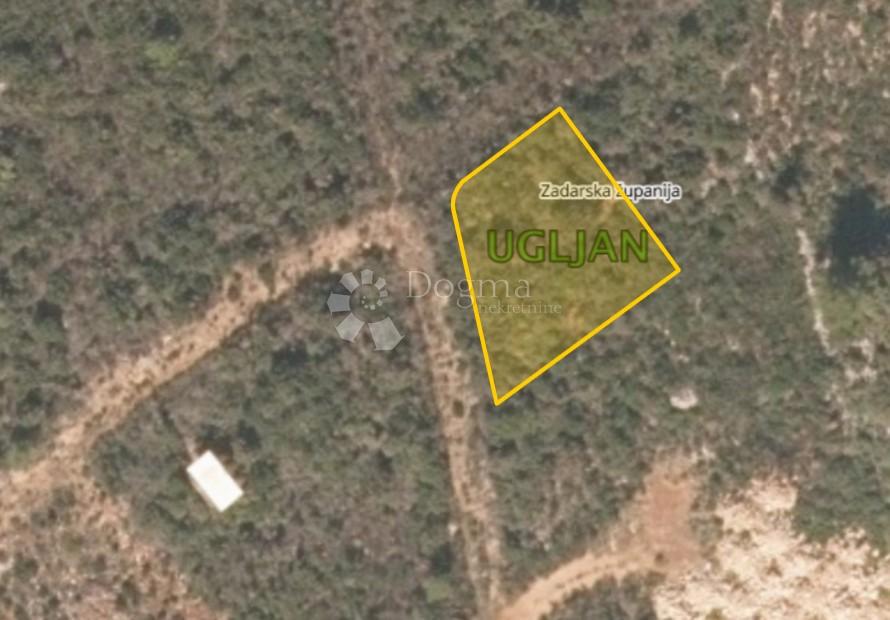 Kmetijsko zemljišče Ugljan, Preko, 426m2