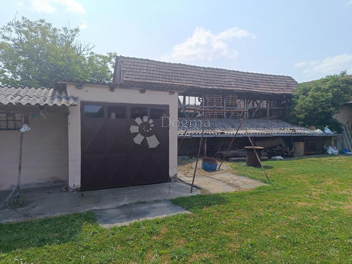 Hiša Bršadin, Trpinja, 1.887m2