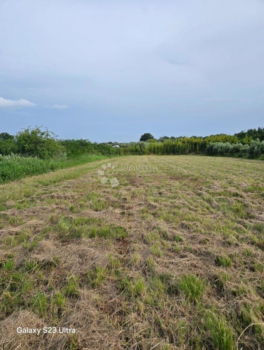 Zazidljivo zemljišče Murine, Umag, 600m2