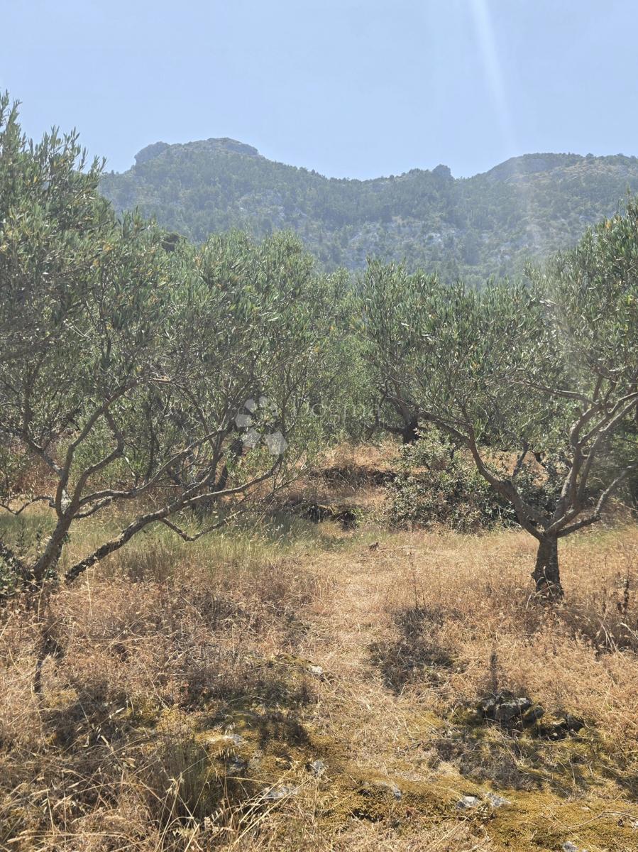 Zazidljivo zemljišče Hvar, 899m2