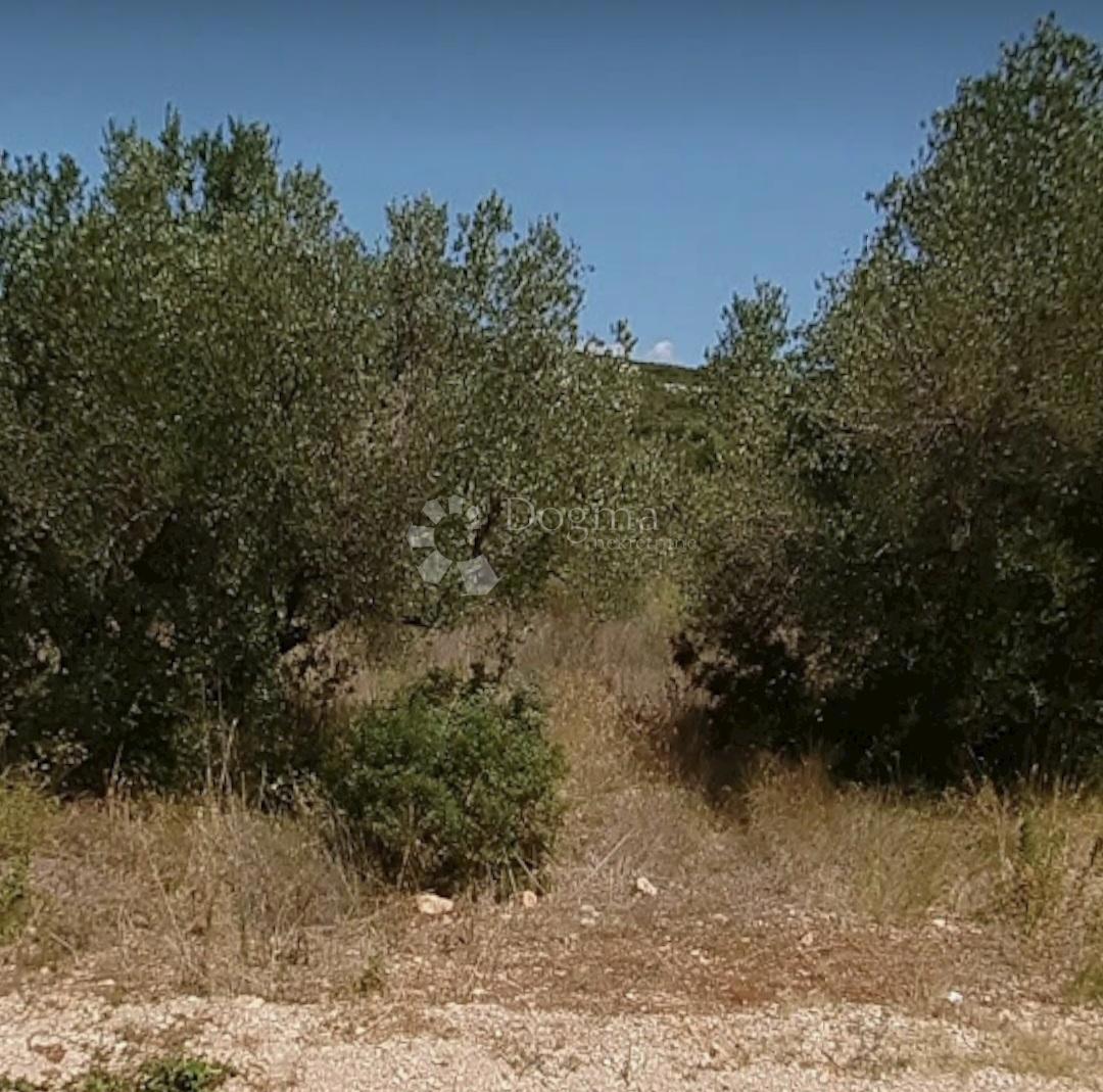 Zazidljivo zemljišče Turanj, Sveti Filip I Jakov, 2.390m2