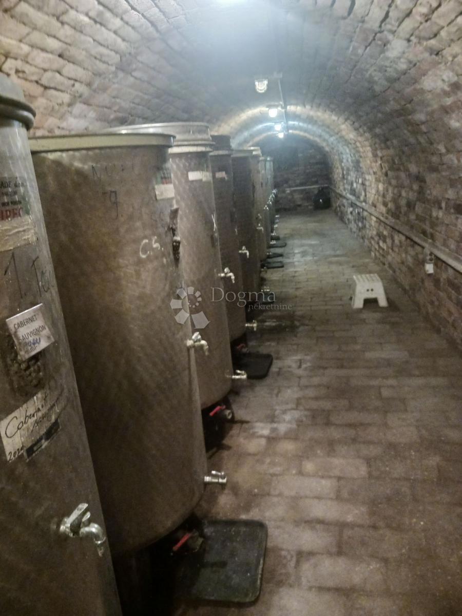 Hiša Zmajevac, Kneževi Vinogradi, 155m2