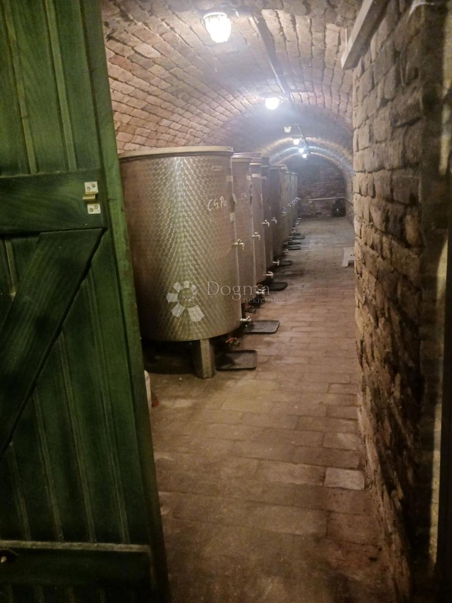 Hiša Zmajevac, Kneževi Vinogradi, 155m2