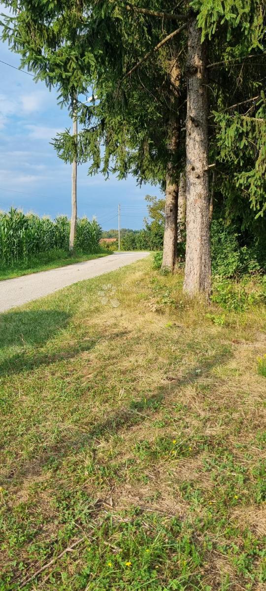 Zazidljivo zemljišče Pavučnjak, Samobor - Okolica, 795m2
