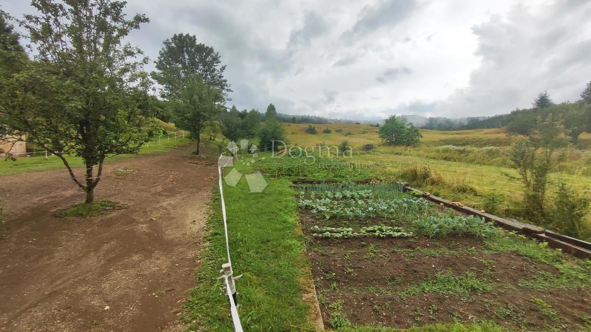 Hiša Prezid, Čabar, 1.000m2