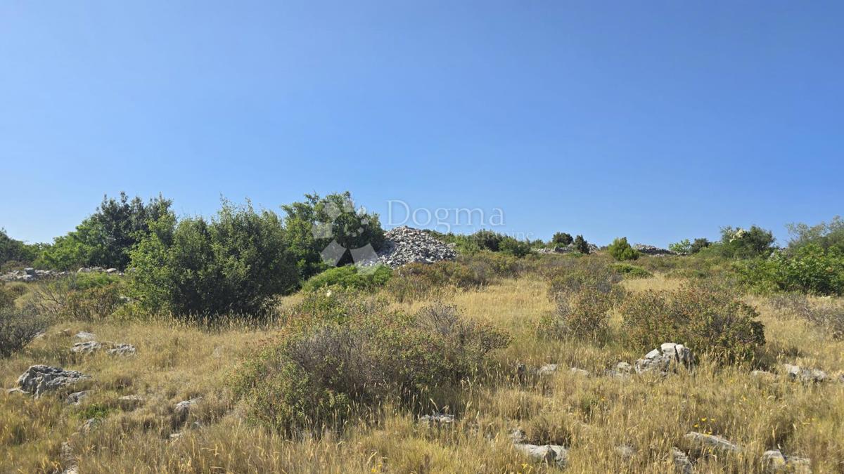 Kmetijsko zemljišče Milna, 9.819m2