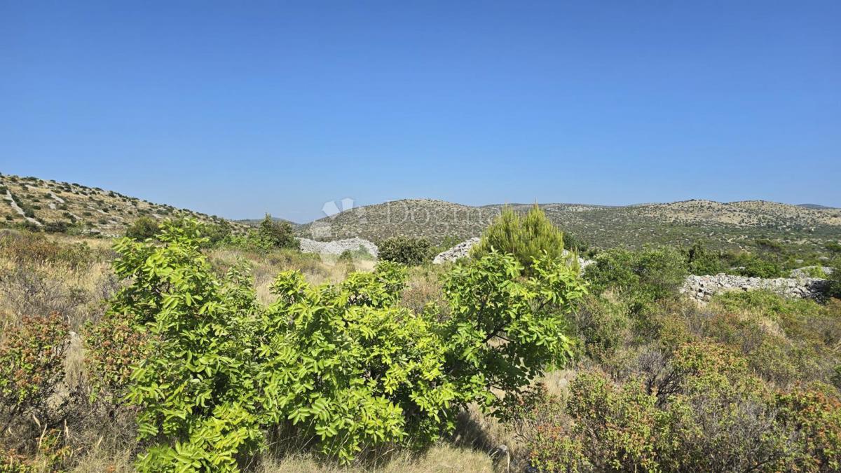 Kmetijsko zemljišče Milna, 9.819m2