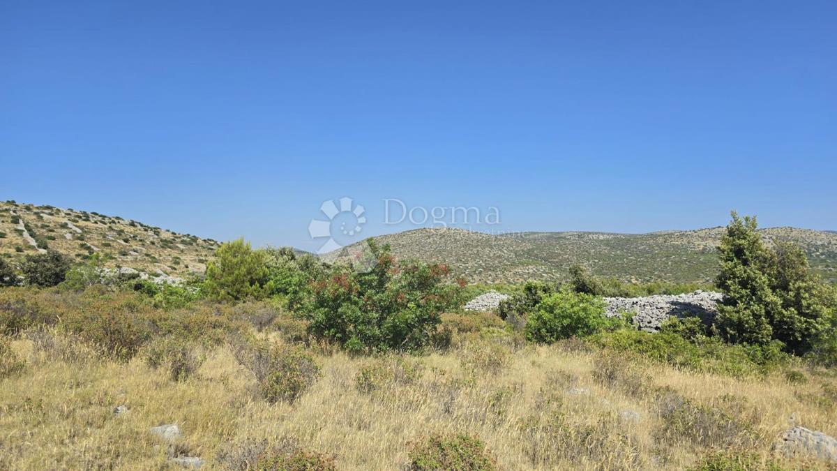 Kmetijsko zemljišče Milna, 9.819m2