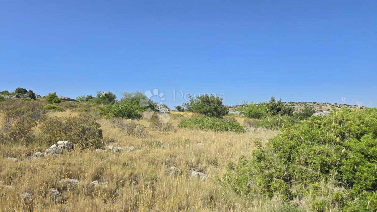 Kmetijsko zemljišče Milna, 9.819m2