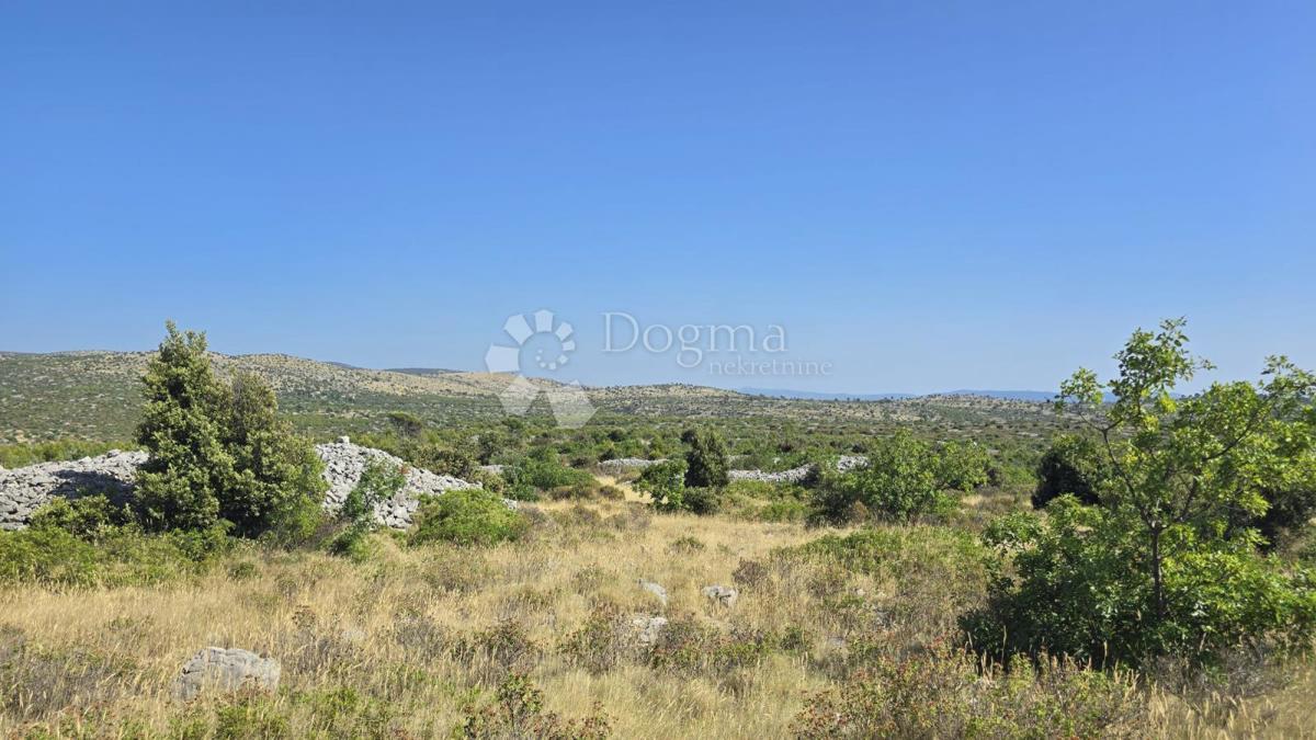 Kmetijsko zemljišče Milna, 9.819m2
