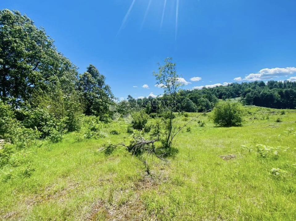 Kmetijsko zemljišče Gornje Primišlje, Slunj, 55.000m2