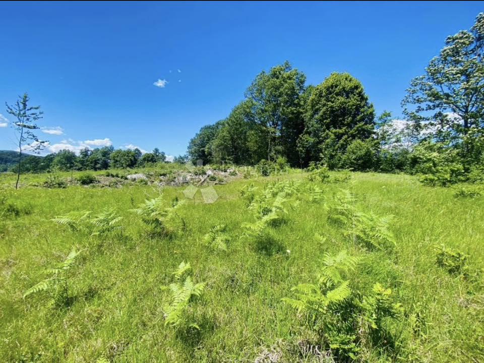 Kmetijsko zemljišče Gornje Primišlje, Slunj, 55.000m2