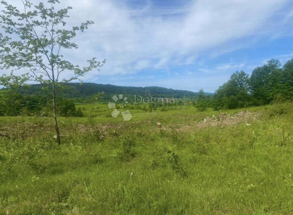 Kmetijsko zemljišče Gornje Primišlje, Slunj, 55.000m2