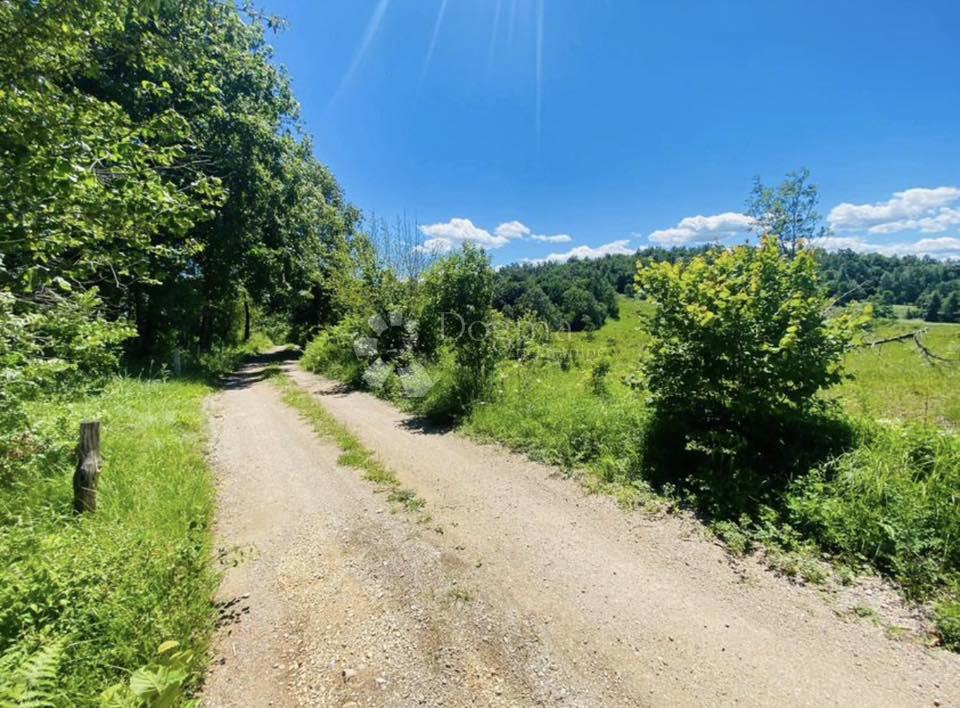Kmetijsko zemljišče Gornje Primišlje, Slunj, 55.000m2