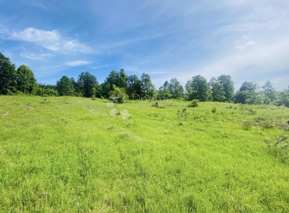 Kmetijsko zemljišče Gornje Primišlje, Slunj, 55.000m2