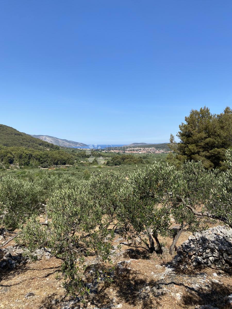 Kmetijsko zemljišče Dol, Stari Grad, 1.349m2