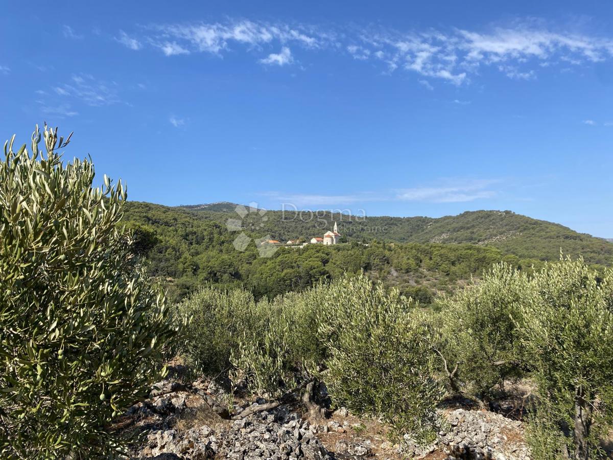 Kmetijsko zemljišče Dol, Stari Grad, 1.349m2