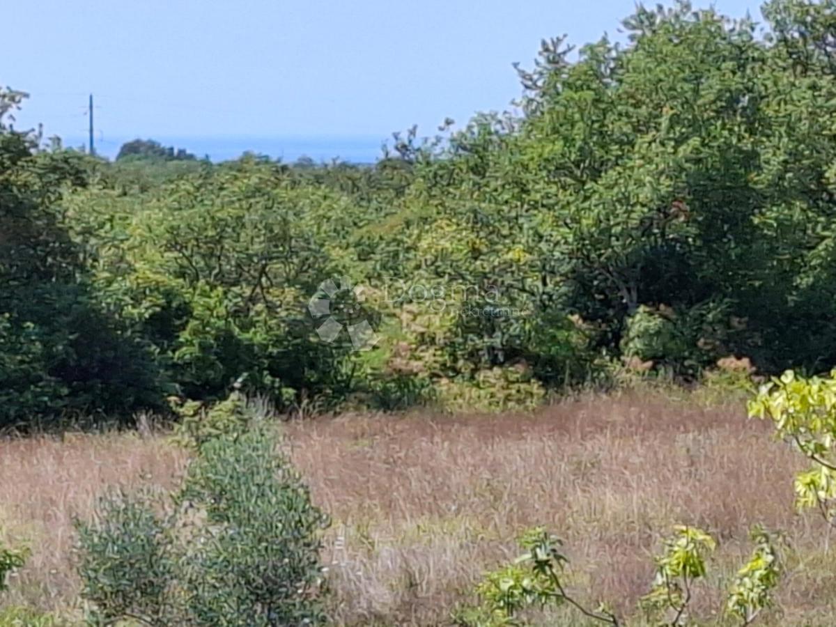 Zazidljivo zemljišče Kaštel, Buje, 999m2