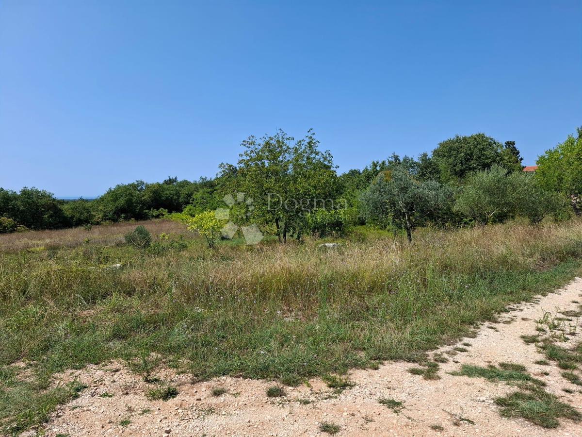 Zazidljivo zemljišče Kaštel, Buje, 999m2